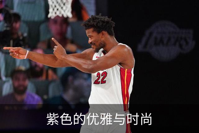 紫色的优雅与时尚
